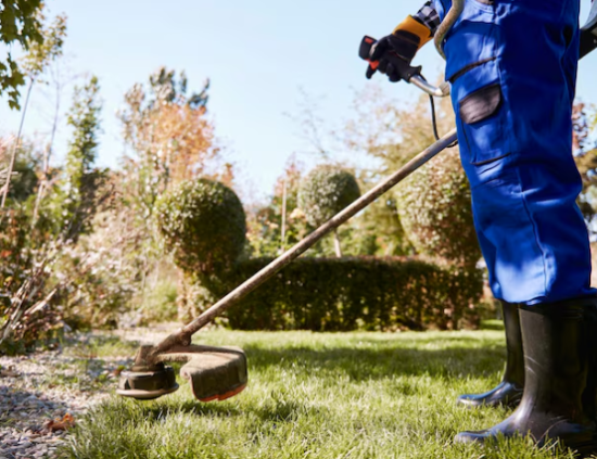 Garden Clearance Services