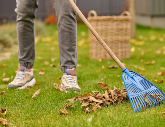 Garden Clearance Services