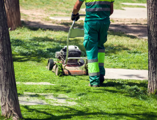Garden Clearance Services